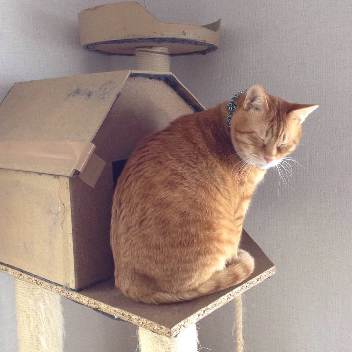 73ce71f5 3980 401f a0b2 24dd7688c5b7 1552716006089