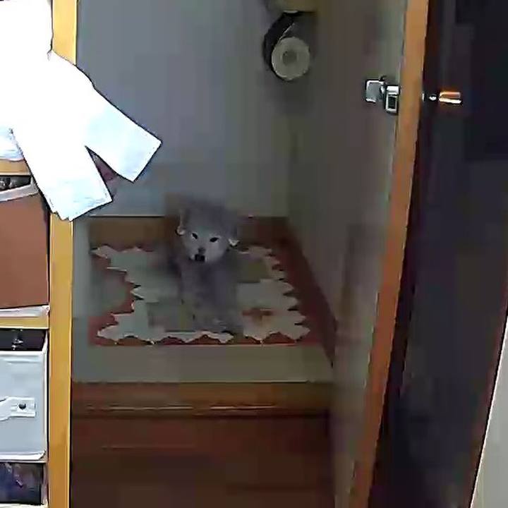 73ce9032 2504 4481 999d 9d3b6a301ffb 1618807584758