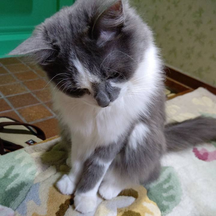 73cec208 29e9 4756 b162 28c6b94aa6e6 1579602112869