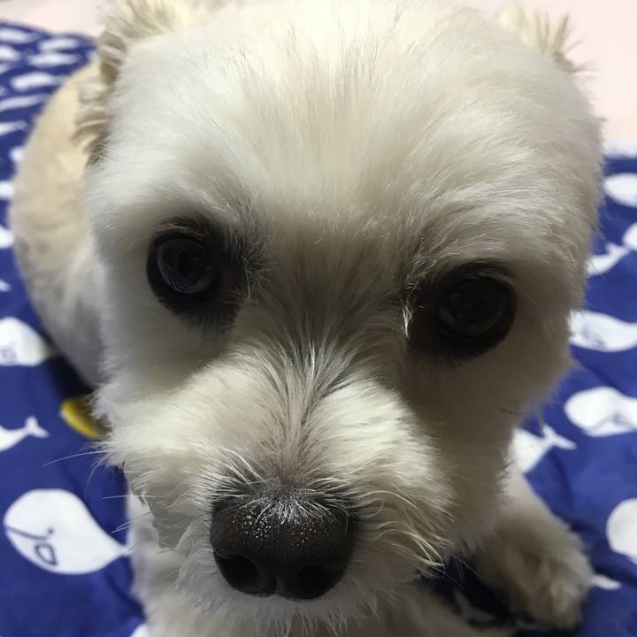 73ced997 4851 498a 92b5 1431b6b15e3d 1564231064601