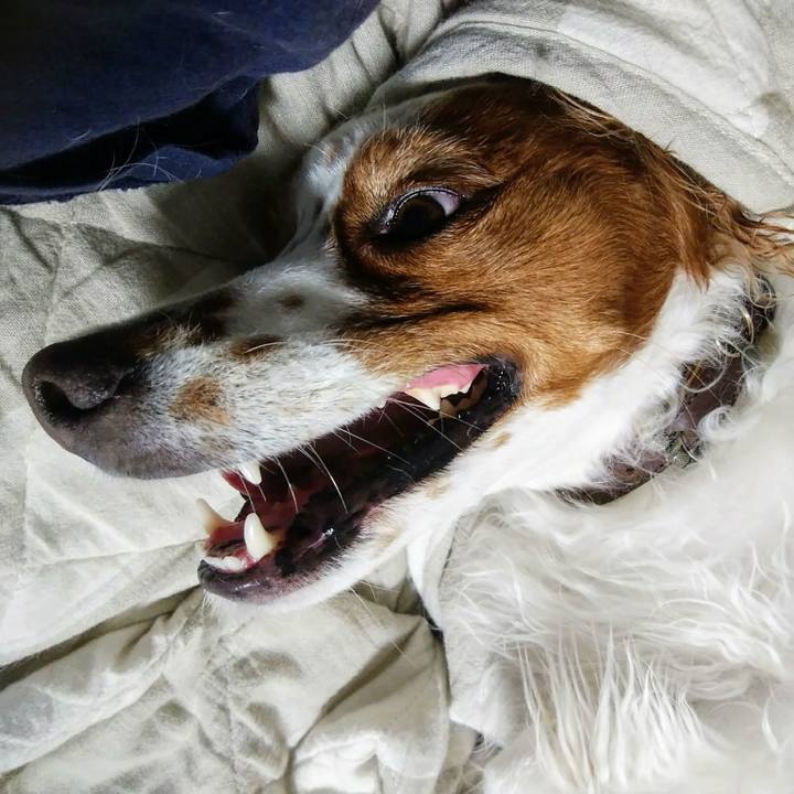 73cf0074 7415 4886 a286 4cb8ef8ecc2e 1564228515578