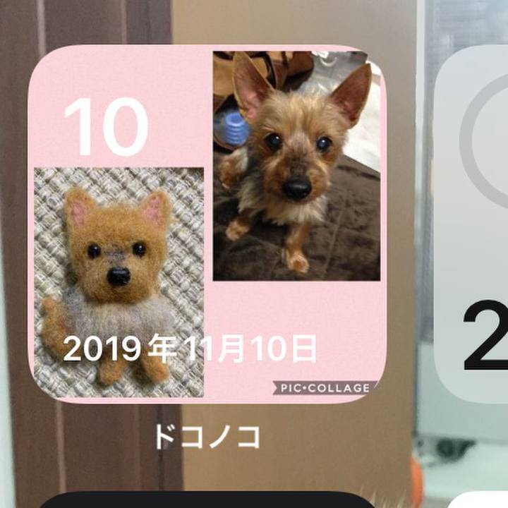 73cf2b2c d8a7 425d a4bd 3aff57207b2a 1668082456412