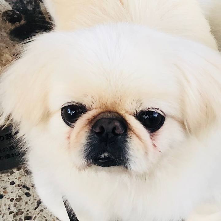 73cf6017 0ee0 473c 9d10 fa3b731cfa89 1601244332093