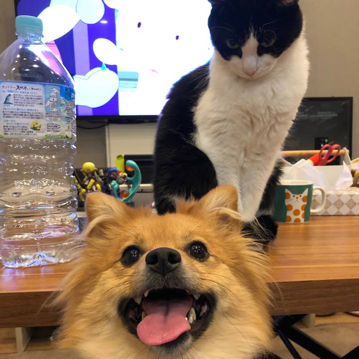 73cf7e95 330d 404a 9d71 83a6a0b10bd5 1668170098372