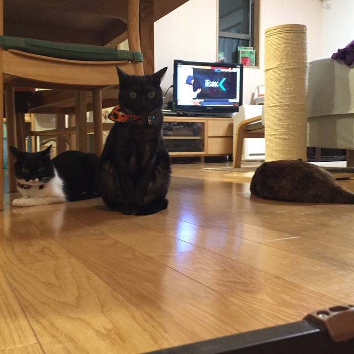 73cf9104 f293 452b aadc 538d4d52822e 1541087105439