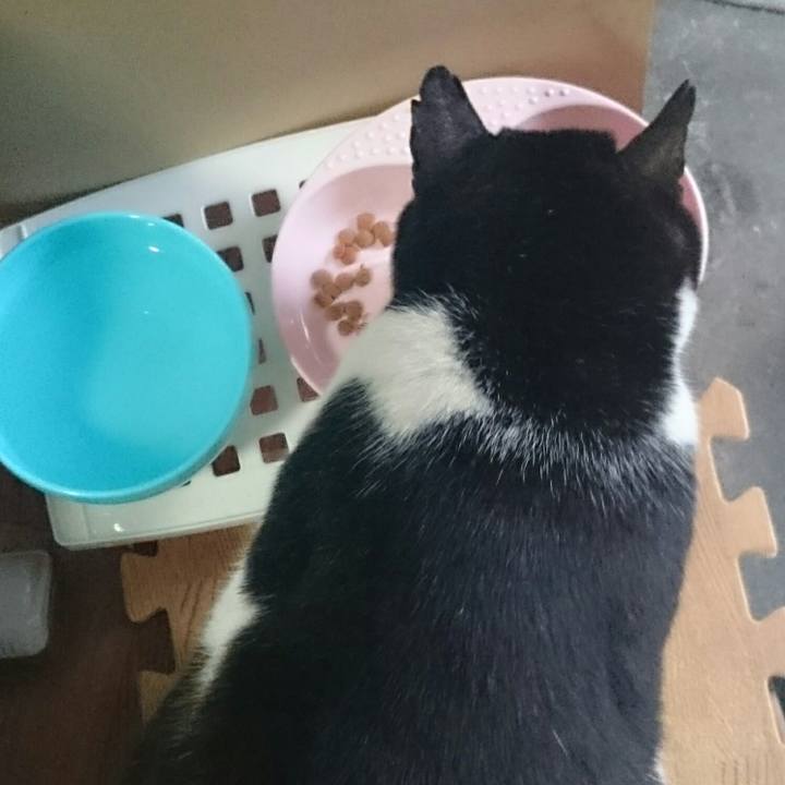 73cfc71a 6017 4668 9098 cc5fca5f1f03 1520257512529