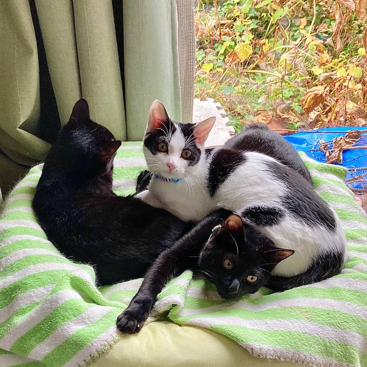 73cfdb02 bbeb 4c74 8384 c7b7d4807216 1636353332848