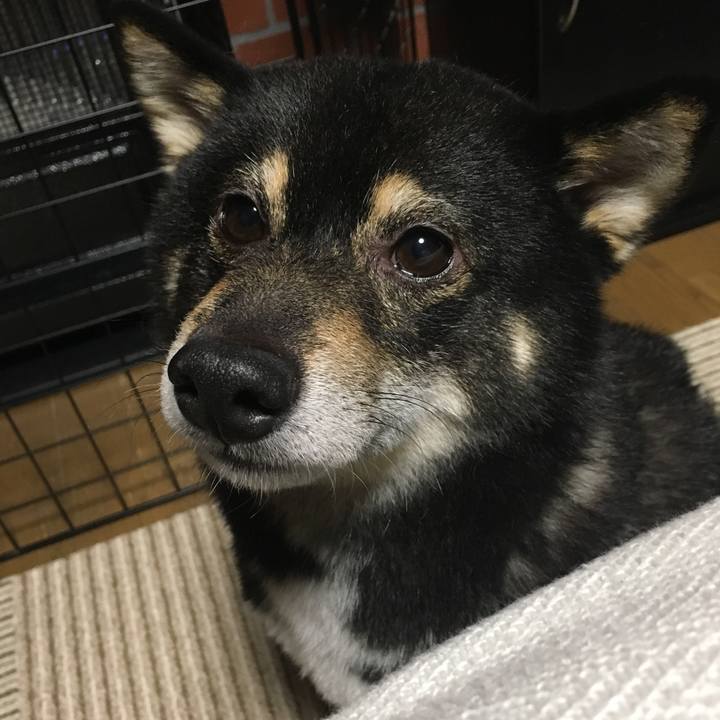 73d01006 2b92 4aa9 a9c8 284fcda4cef1 1517908393662