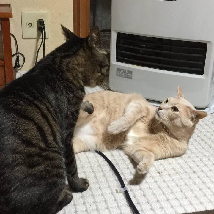 73d01667 25d3 4bfc 8b76 4b02ddb7ef30 1516621787553