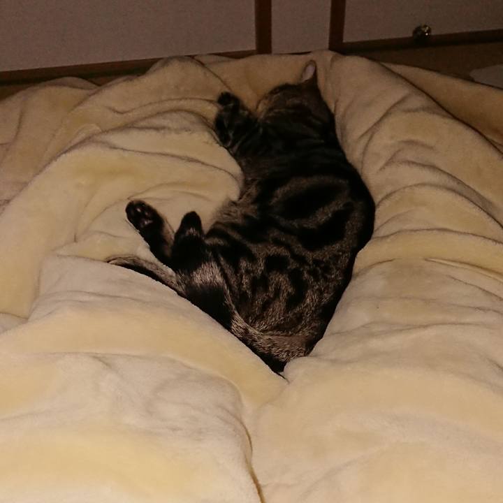 73d0bb11 6eb1 4658 8f93 4064fb0695e9 1552424226421