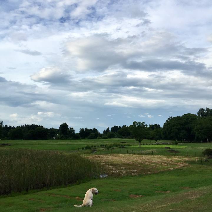 73d0c617 3cd7 403b 9b98 e9d8c89d04de 1553091599475