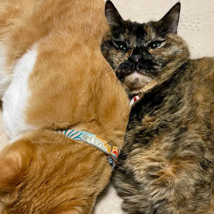 73d0ccc0 f9d0 448a aaff e369798007ec 1710596656567