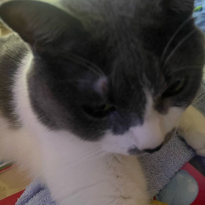 73d0ea47 0b9d 48dd a78c 4b3e83510820 1754777267111