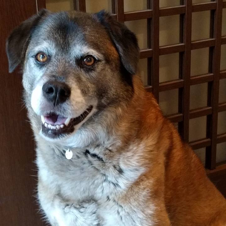 73d12926 1245 4eb3 a098 7092d26f4a85 1526719951074