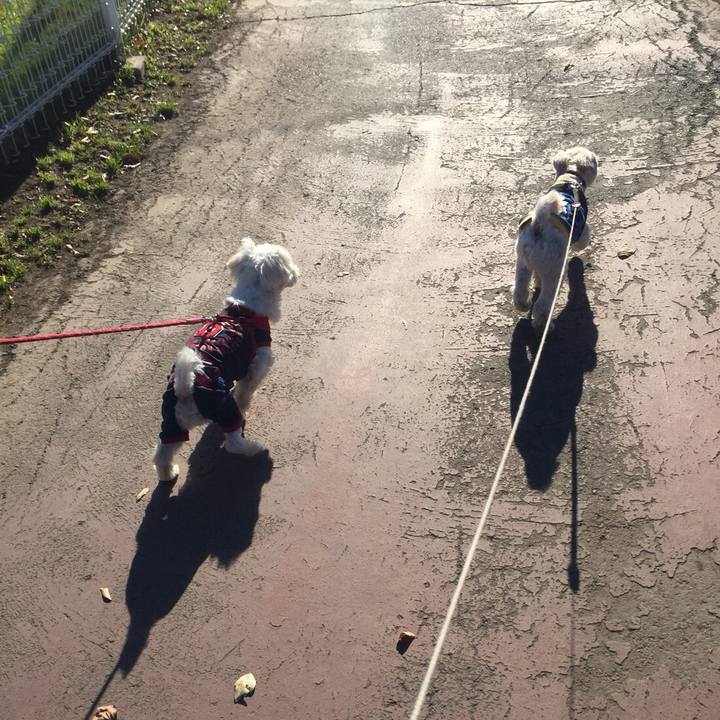 73d13511 ba14 422e bbfa 1c8e2145a66d 1511264616427