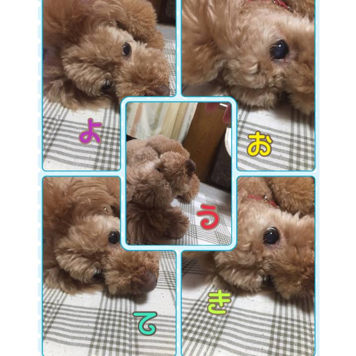 73d14d24 5cd4 42ec 9d91 12aef2447cad 1526767361250