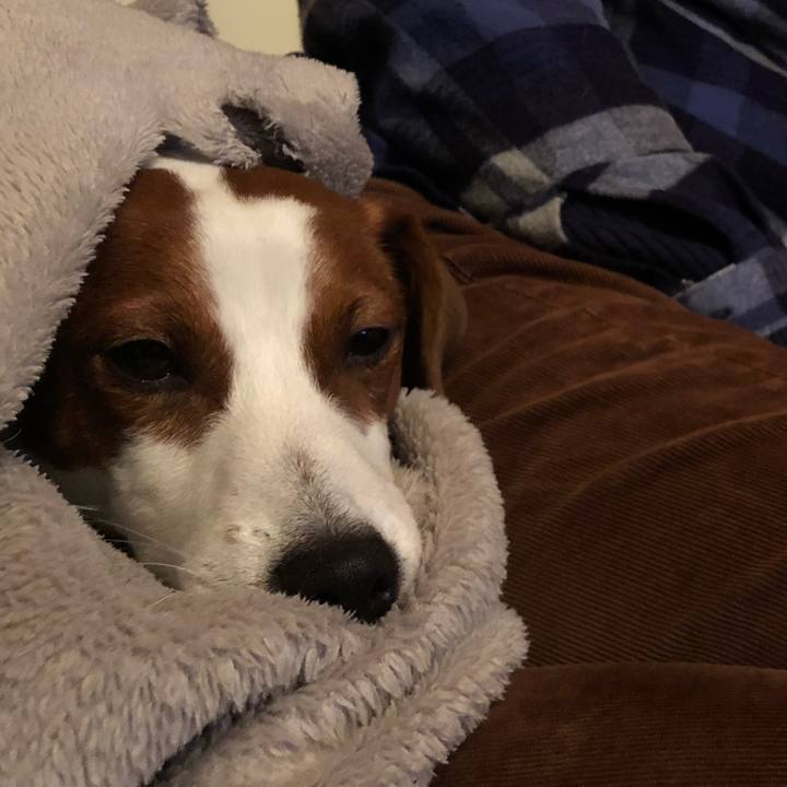 73d155fa 49af 49e7 8941 25398199e471 1549786817310