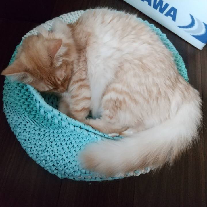 73d15a92 1bd0 4919 a0c2 54bc00313dc5 1630106483764