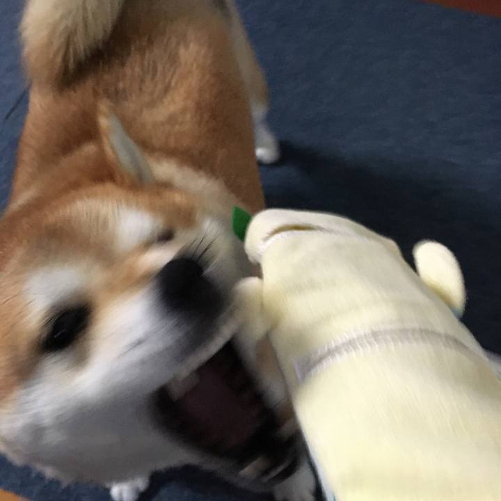 73d1729c 168b 400f a63d 3b57ef4cac66 1580173944701