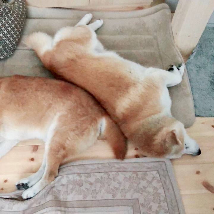 73d188fe e65d 4a2e b91b 3069cf7f7065 1535669522060