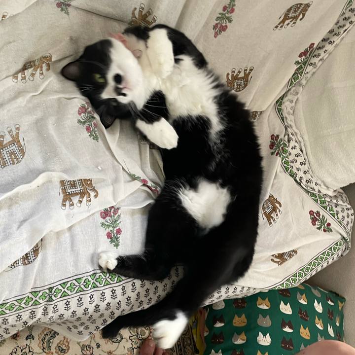 73d18ac0 306d 4eb5 aad9 7ced828f16ac 1758590471333