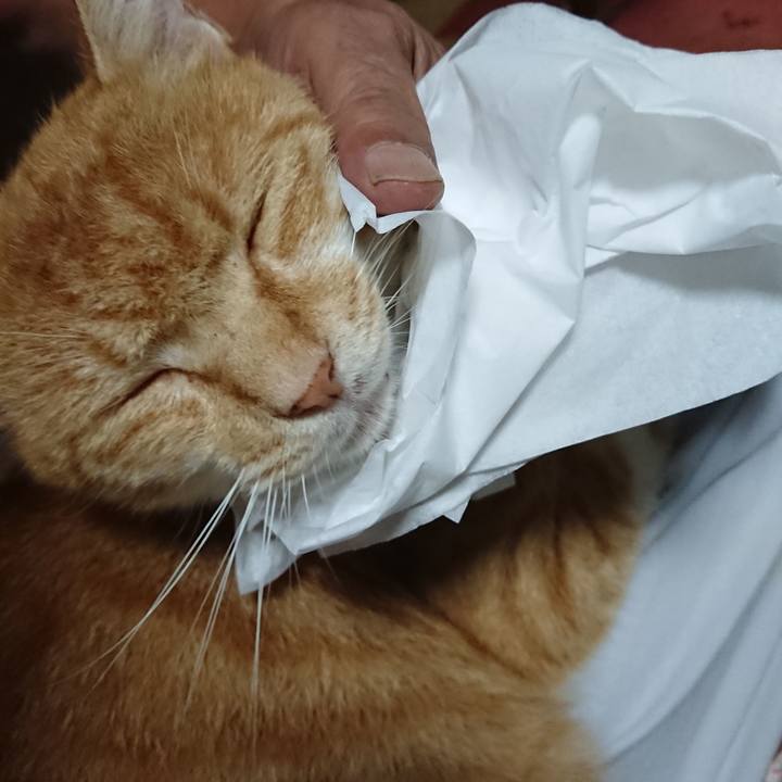 73d1a4a8 6227 4efa 87cb 499c64ba8fd6 1595937960703