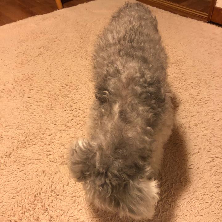 73d1bd3c 0748 4c8a 8268 76ec26dd2185 1581515479484