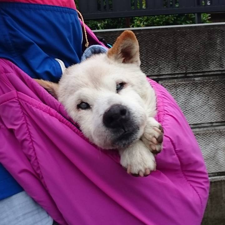 73d1cbda f894 4d03 ad63 40d086d172e8 1528762891654