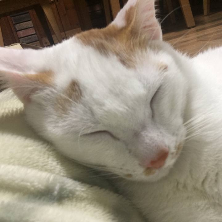 73d1e711 2c7d 41a7 8b01 61913c33af1a 1511681867817