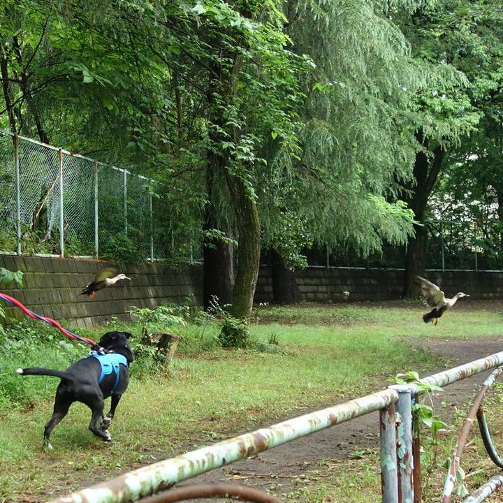 73d1f91a 80d4 4e3c 8ca5 9aa2bb33e492 1622159908649