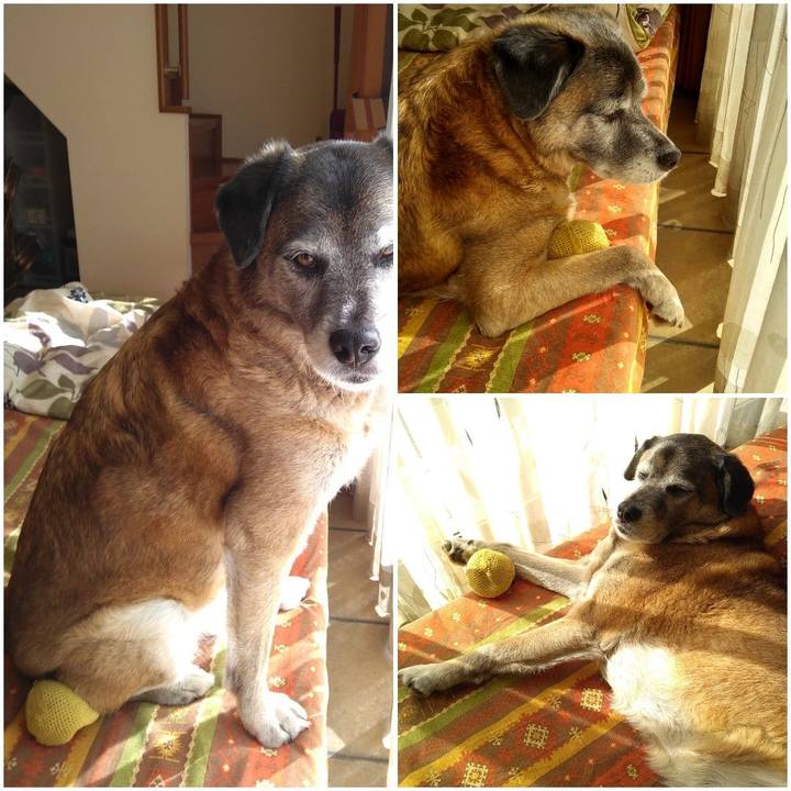 73d20b3a 4553 45a3 bf4b 74fa6b6ddc6e 1549760386620