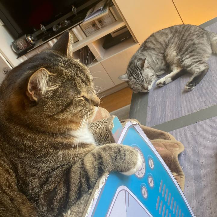 73d23b35 53fe 4703 a264 b411d75ca497 1679193456443