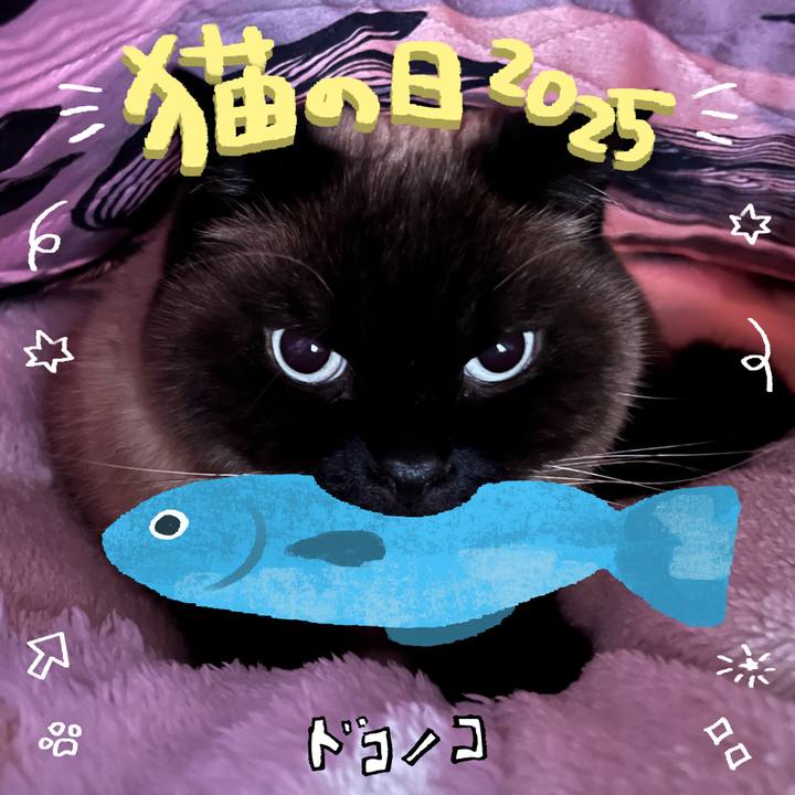 73d2423a e488 4710 9323 8c82b6ffe782 1740207075137