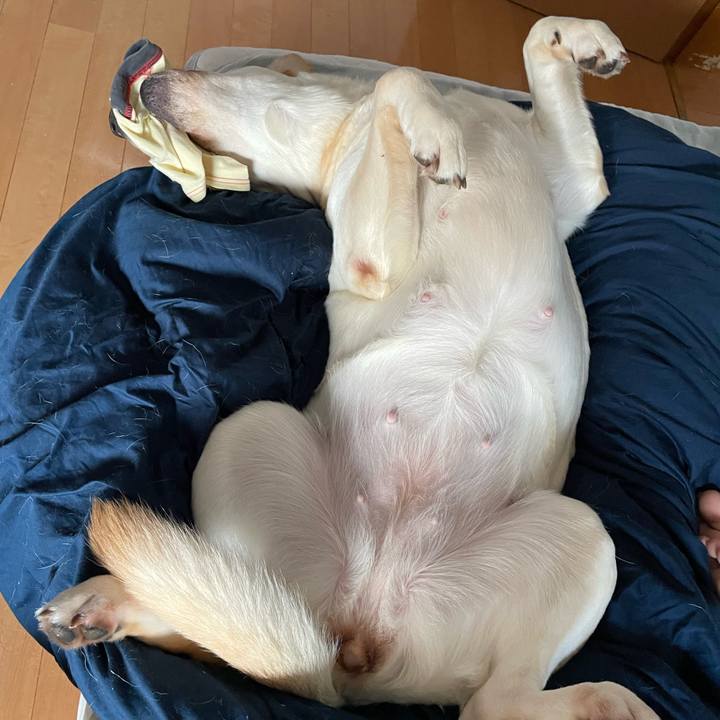 73d27939 a304 4b74 acb8 6e51ce7a5dc6 1668322620906