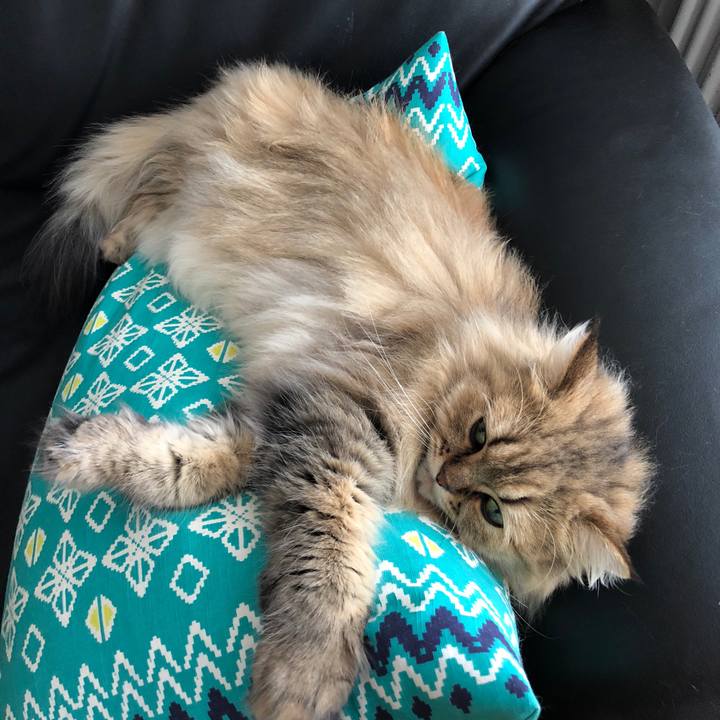 73d2ab18 9190 44aa aaaa db0f1211453b 1537577018440