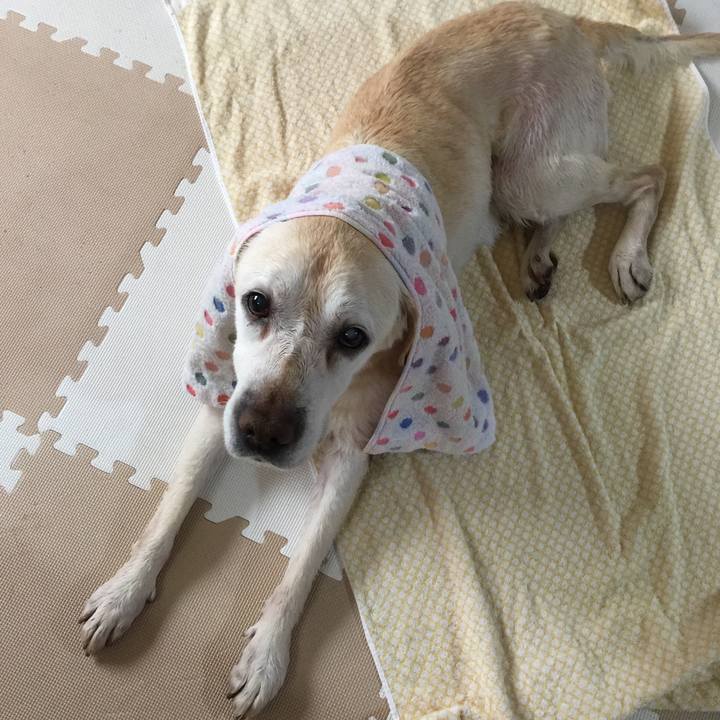 73d2abd6 9110 4370 b25c f3f3907f551f 1524028091870