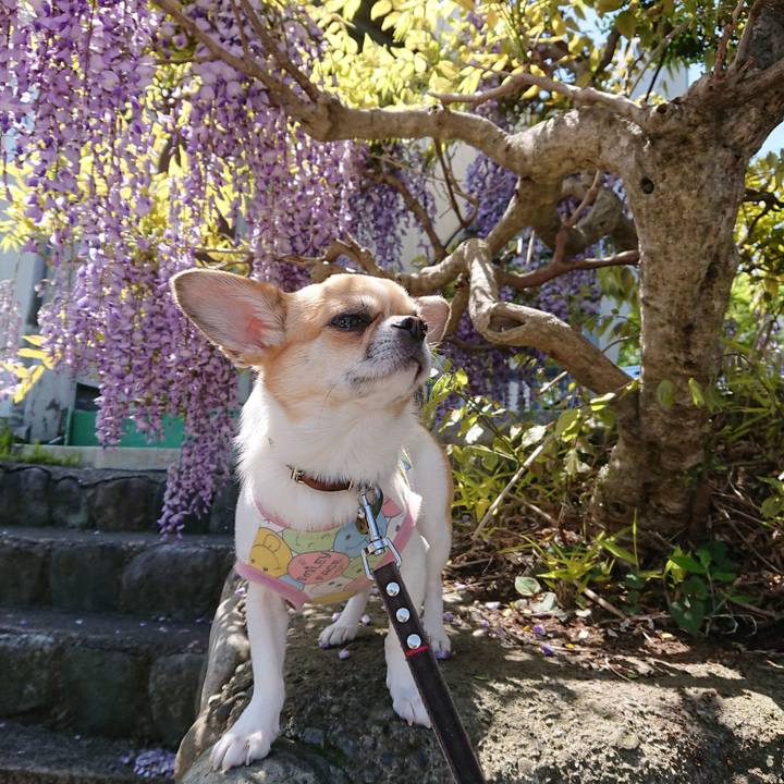 73d2ba2a b353 47cd abe9 51260b1e2b36 1618799323700