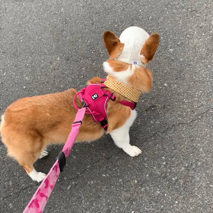 73d2c8e5 34cd 4724 aae9 f23e148d68a1 1660175405908