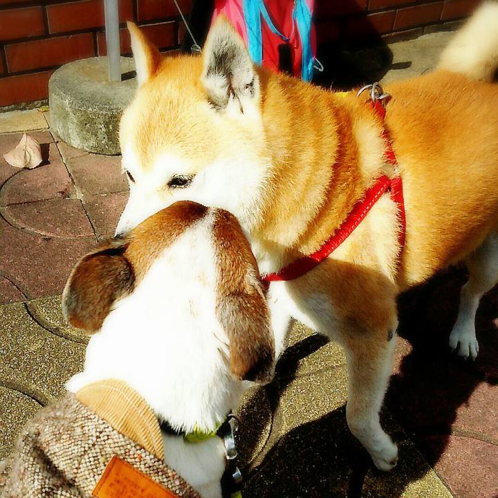 73d2fb32 a302 43a1 a13e 29e9becc36ac 1511079939267