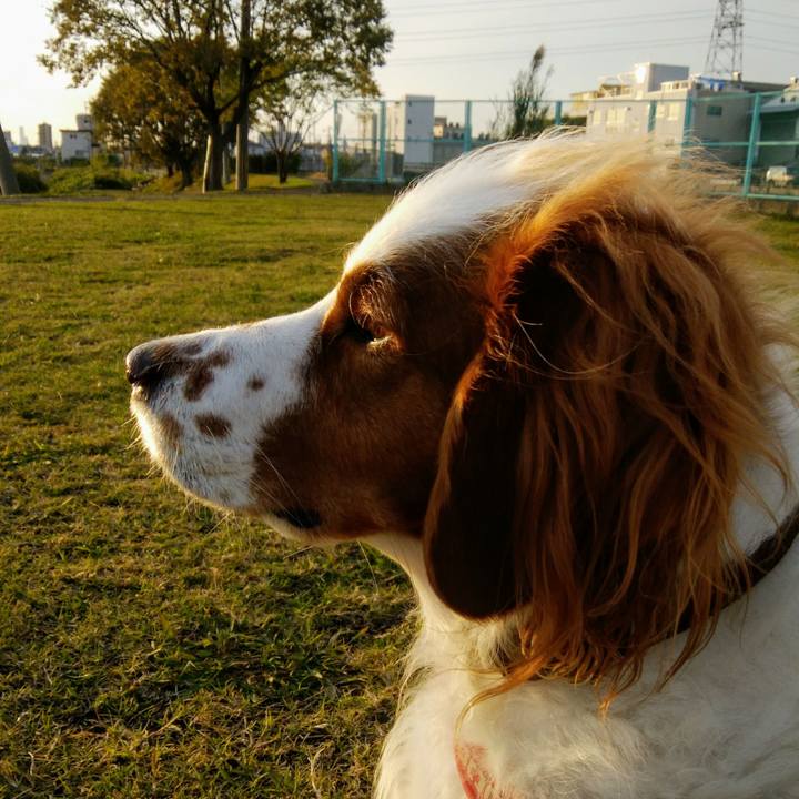 73d35c7c 81fd 448b a450 a11b9a75c9f5 1543134235140