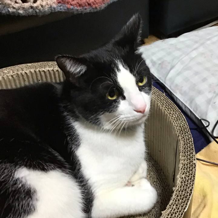 73d377e3 62f5 44be a26e 6f0574570a22 1707043714029