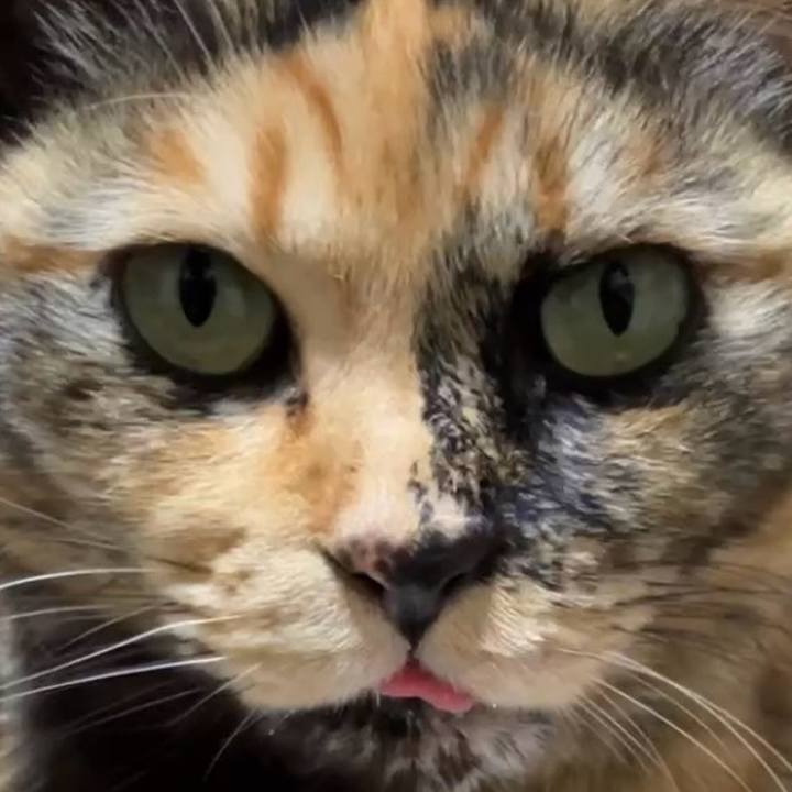 73d37a7a 1319 45ef 9973 5492bed40c32 1739586555040