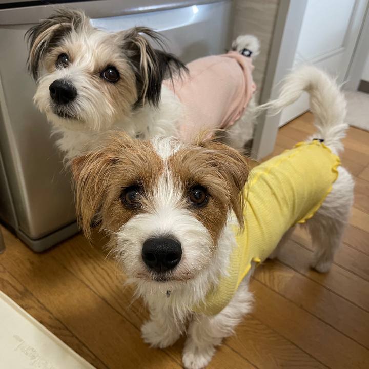 73d3a43e e97f 4a94 b76c 453fcc48d6bb 1764748449724