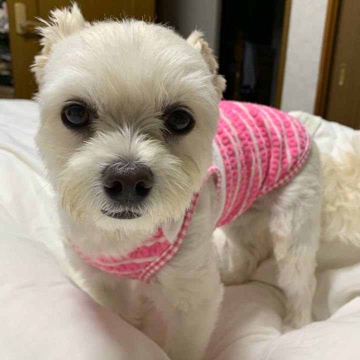 73d3b6e0 ad3f 4658 9532 c103f149386b 1600606974218