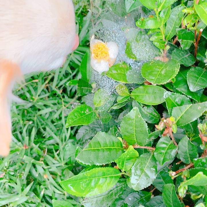 73d3cfdf bd32 4acf bb65 79403e1c708b 1634037510641