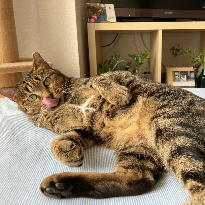 73d3e625 e210 4da9 8982 dced3c774187 1593834143674