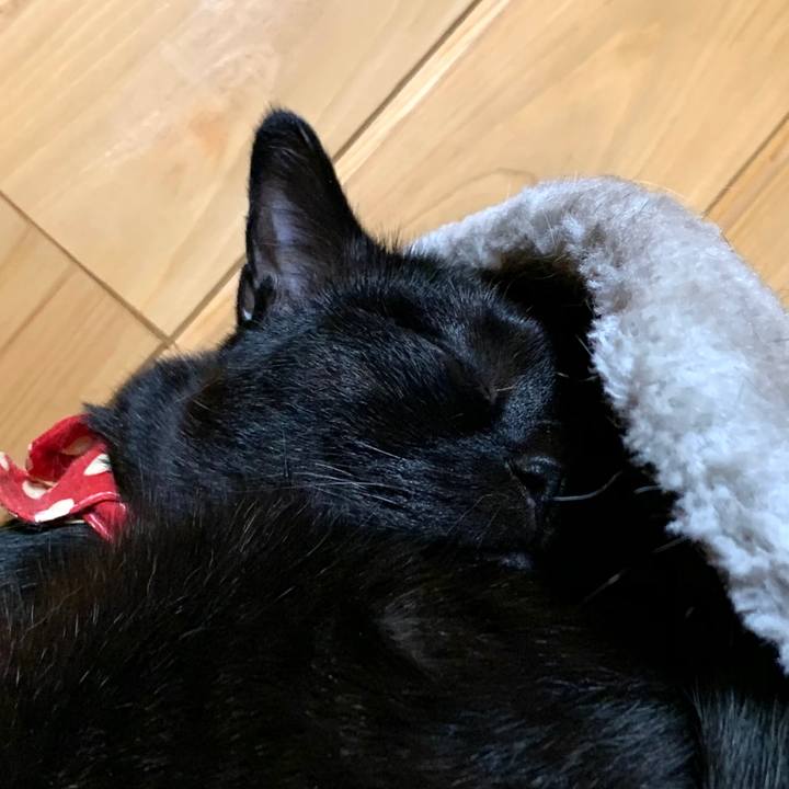 73d3f66b 54c5 42a2 bf02 20cbfe3e54d4 1582880506437