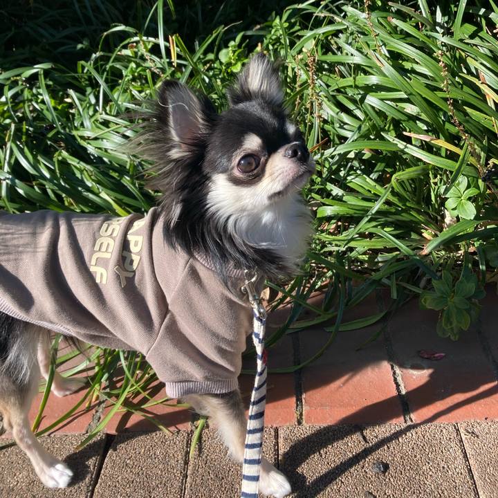 73d451b1 0af5 484e 82c3 1b9706074051 1607231663795