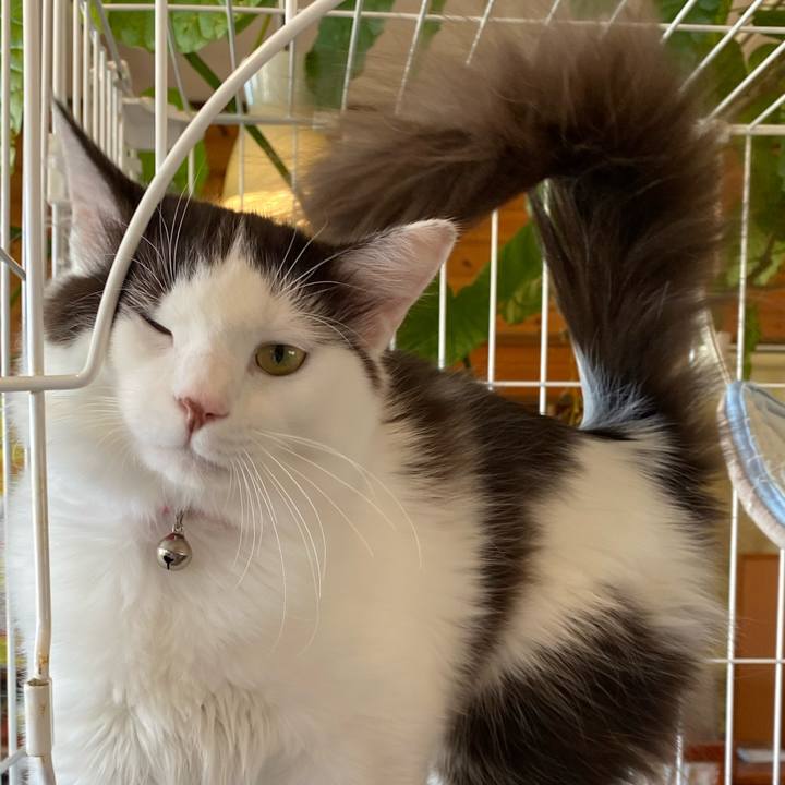 73d460a4 1a96 428d b303 f393c6bbd7f8 1698118383548