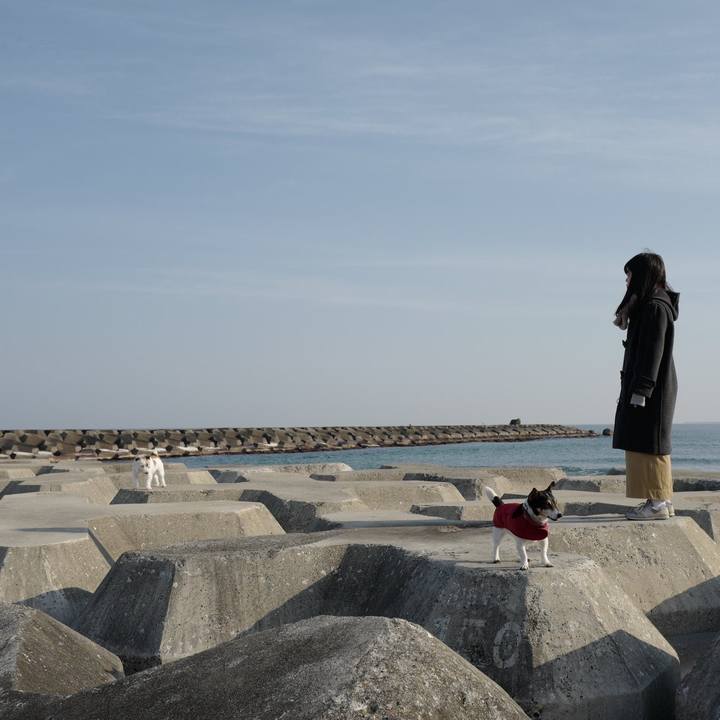 73d46a2c dce2 473f a57a 508e0b5daeda 1551588861006